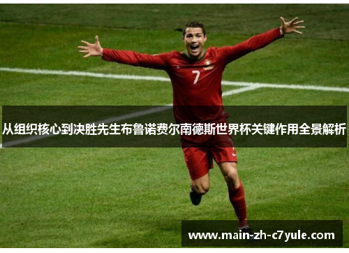 从组织核心到决胜先生布鲁诺费尔南德斯世界杯关键作用全景解析